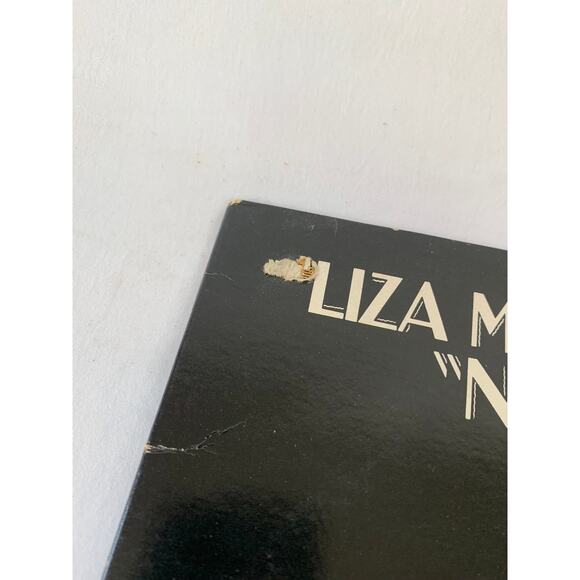 Double Album LP 1977 New York New York Soundtrack Liza Minnelli & Robert De Niro - Picture 3 of 11